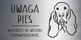 tabliczka-20x10-cm-uwaga-pies-basset-laminat-z-grawerem