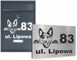 skrzynka-na-listy-z-nadrukiem-tablica-z-numerem