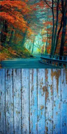 tlo-fotograficzne-jesien-liscie-drzewa-150x300-cm