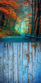 tlo-fotograficzne-jesien-liscie-drzewa-150x300-cm