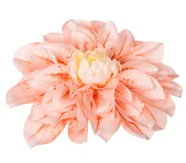 dalia-glowka-lososiowo-kremowa