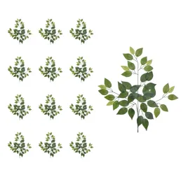 benjamin-ficus-galazka-lisci-zielona-12-sztuk