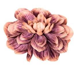 dalia-glowka-braz-z-fioletem
