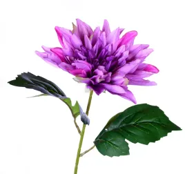 dalia-fioletowa-galazka-67cm