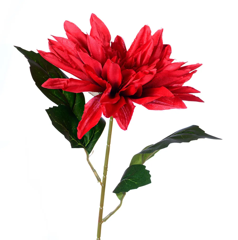 dalia-czerwona-galazka-67cm