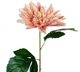 dalia-brzoskwiniowa-galazka-67cm