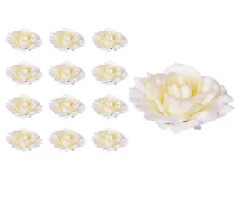 roza-glowka-sonia-kremowa-12-sztuk