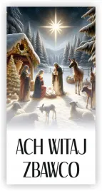 baner-religijny-300x150-cm-rozne-wzory-dekoracja-na-boze-narodzenie