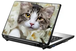 skin-naklejka-naklejki-na-laptopa-skorka-tapeta