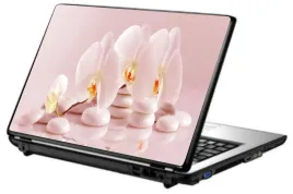skin-naklejka-naklejki-na-laptopa-skorka-tapeta