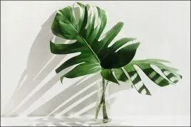 tlo-fotograficzne-produktowe-flat-lat-kulinarne