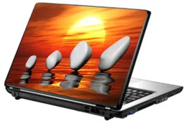 skin-naklejka-naklejki-na-laptopa-skorka-tapeta