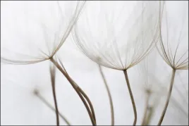 tlo-produktowe-kulinarne-flat-lay-na-bloga-insta