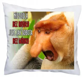 poduszka-nosacz-janusz-prezent-na-dzien-chlopaka