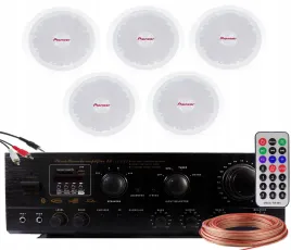 naglosnienie-sufitowe-pioneer-5-salon-lokal-strefy