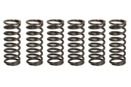 zestaw-sprezyn-sprzegla-mef326-6