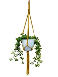 kwietnik-wiszacy-makrama-ze-sznurka-boho-musztarda