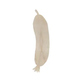 ogorek-15-cm-ksztaltka-warywa