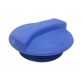 korek-wlewu-wody-vw-t4-passat-golf-seat