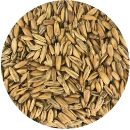 slod-owsiany-viking-malt-1kg-kremowy-posmak-i-miekka-tekstura-piwa