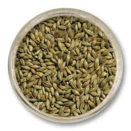 slod-cookie-ciasteczkowy-viking-malt-1-kg