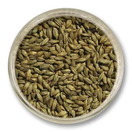 slod-wiedenski-25kg-viking-malt-pelne-cialo-nuty-orzechowo-chlebowe