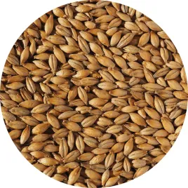 slod-jeczmienny-best-ale-crisp-1-kg-must-have-baza-do-kazdego-piwa