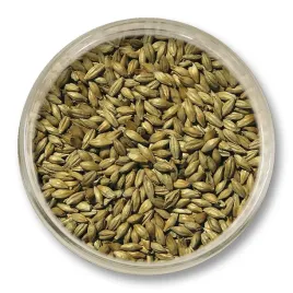 slod-red-ale-1kg-melanoidynowy-viking-malt-gleboka-barwa-nuty-orzechowe