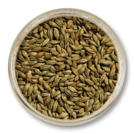 slod-wiedenski-1kg-viking-malt-pelne-cialo-nuty-orzechowo-chlebowe