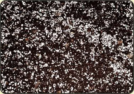torf-kwasny-ph-35-45-perlit-1-litr