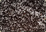 torf-kwasny-ph-35-45-perlit-1-litr