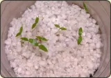 agro-perlit-podloze-do-roslin-3-litry