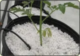 agro-perlit-podloze-do-roslin-3-litry