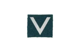 naszywka-stopien-sierzant-na-beret-zielony-drukowana-nowa