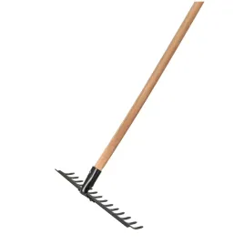 forester-grabie-14z-oprawne