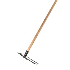 forester-grabie-12z-oprawne