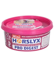 horslyx-mini-rozne-smaki-650g-lizawka-dla-konia-trawienie