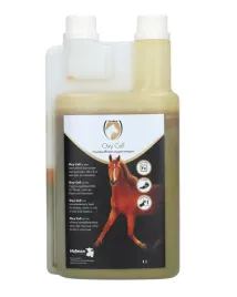 excellent-horse-oxy-cell-1-l-transport-tlenu-przez-czerwone-krwinki