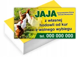 wizytowki-firmowe-reklamowe-100szt-duzy-wybor-sprzedaz-jaj-wiejskich
