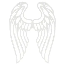 skrzydelka-skrzydla-anielskie-biale-aniol-duze