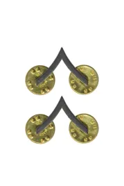 przypinka-czarna-metalowy-stopien-szeregowy-pin-us-army-2-szt-nowa