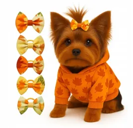 spinka-gumka-kokardka-dla-psa-yorka-shih-tzu-maltanczyk-do-kitka-5x-jesien
