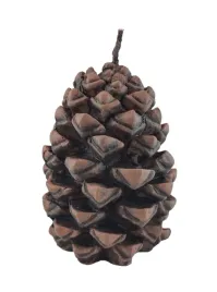 swieca-szyszka-m-70-90mm-brazowa