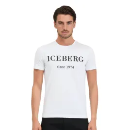 koszulka-meska-icebreker-bawlniana-biala-z-logo