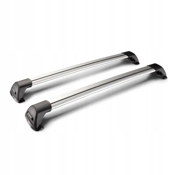 bagaznik-dachowy-whispbar-flushbar-s25y