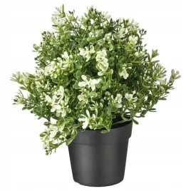 ikea-sztuczny-roslina-doniczkowa-tyminake-ziola