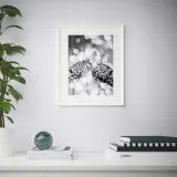 ikea-knoppang-ramka-biala-40x50-cm-kolor-bialy