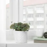 oslona-doniczki-doniczka-biala-9-cm-stan-nowy