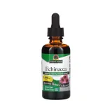 echinacea-root