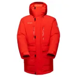 arctic